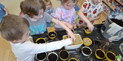 Wiosenne wibracje w grupie „Biedronki”