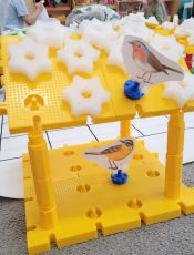 Wyróżnienie w Ogólnopolskim Programie Kolorowa Matematyka z Korbo