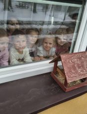 „Motylki” pomagają ptakom przetrwać zimę.