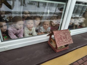 „Motylki” pomagają ptakom przetrwać zimę.