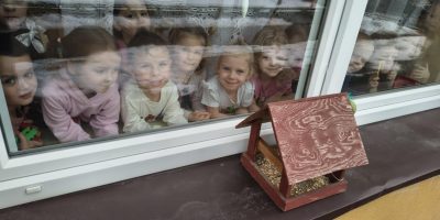 „Motylki” pomagają ptakom przetrwać zimę.